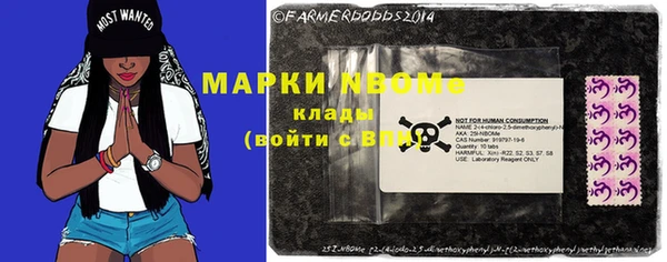 прущие грибы Нея