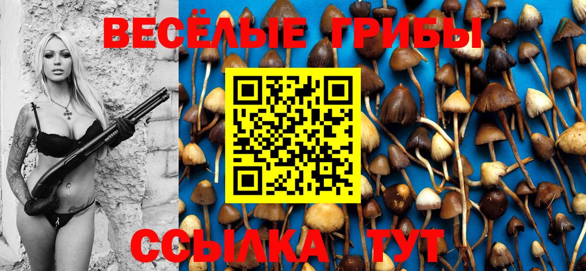 Псилоцибиновые грибы ЛСД Канск