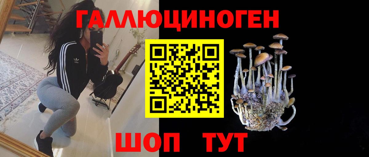 Галлюциногенные грибы Cubensis  Вход с VPN  Галлюциногенные грибы GOLDEN TEACHER  купить  сайты  Канск 